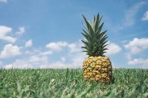 Webinars image 13 (name pineapple)