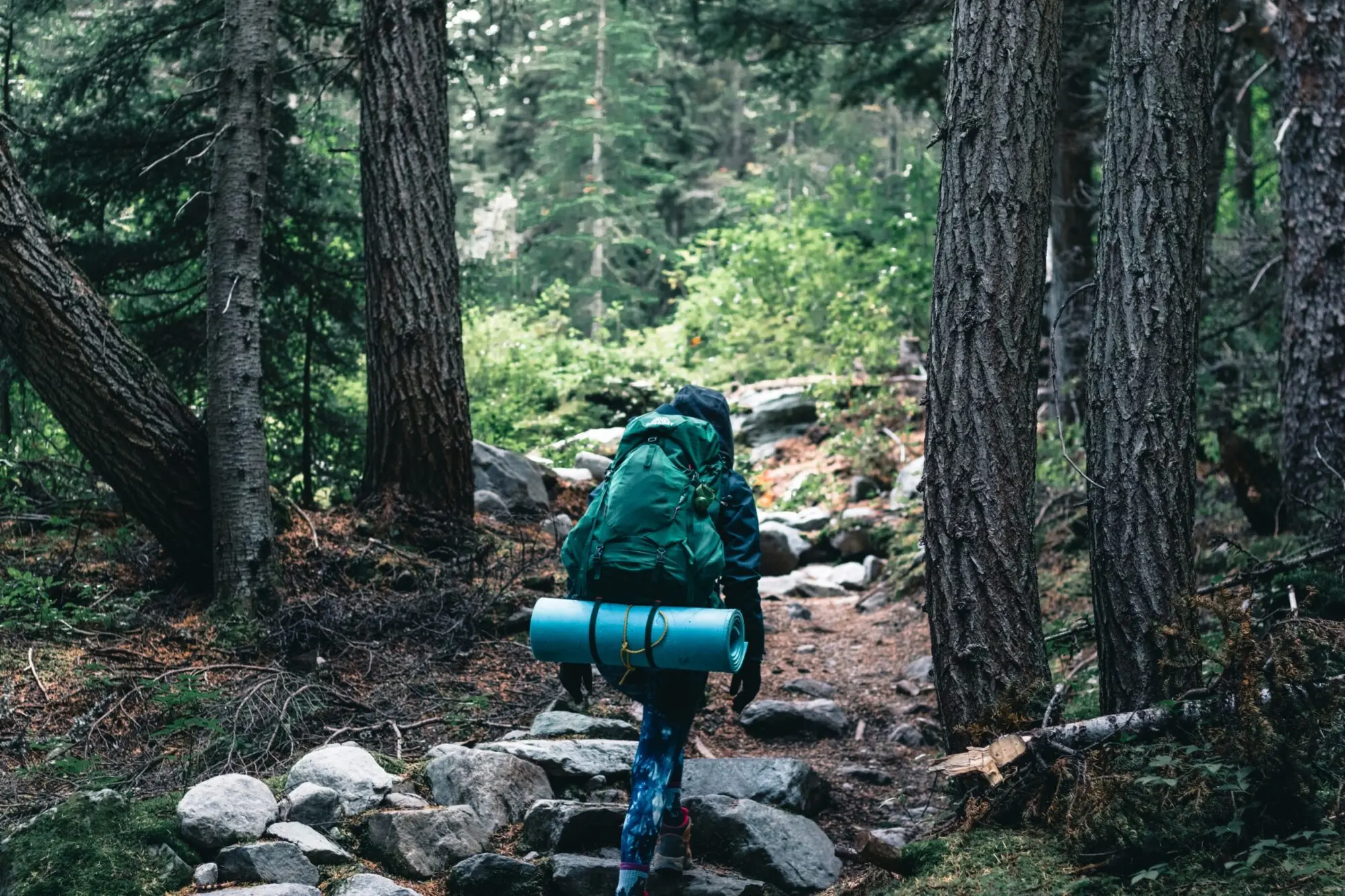 Students Are Better Prepared for Life After High School image 10 (name hiking equipment forest)